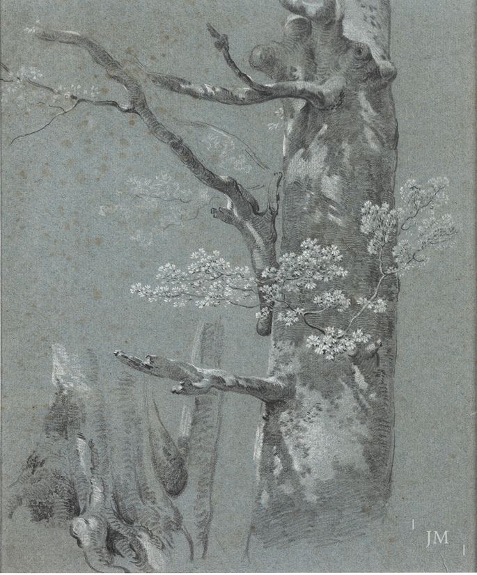 Heinrich Rieter - Studies of a beech tree | MasterArt
